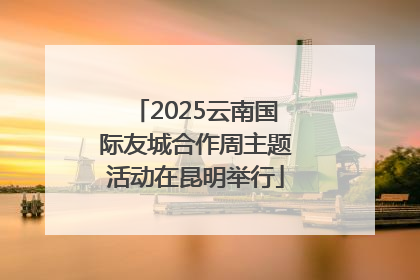 2025云南国际友城合作周主题活动在昆明举行