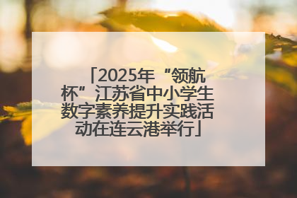 2025年“领航杯”江苏省中小学生数字素养提升实践活动在连云港举行