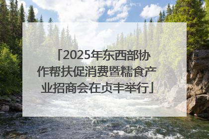 2025年东西部协作帮扶促消费暨糯食产业招商会在贞丰举行