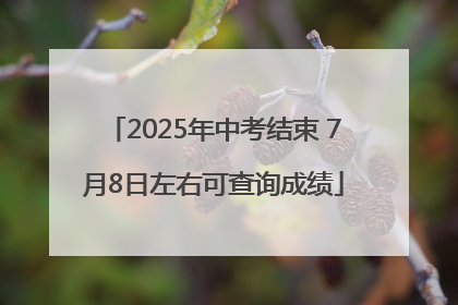 2025年中考结束 7月8日左右可查询成绩