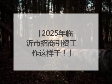 2025年临沂市招商引资工作这样干！