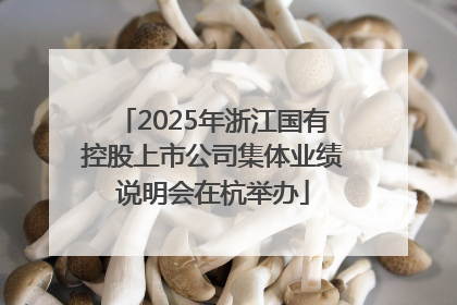 2025年浙江国有控股上市公司集体业绩说明会在杭举办