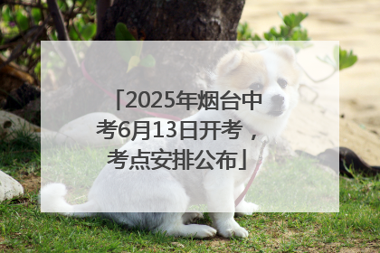 2025年烟台中考6月13日开考，考点安排公布