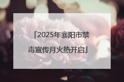 2025年襄阳市禁毒宣传月火热开启