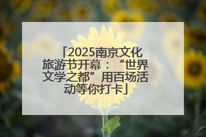 2025南京文化旅游节开幕：“世界文学之都”用百场活动等你打卡