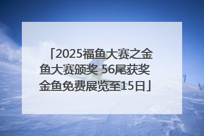 2025福鱼大赛之金鱼大赛颁奖 56尾获奖金鱼免费展览至15日