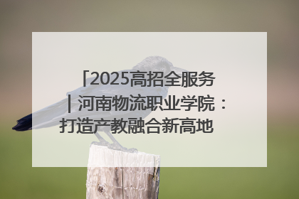 2025高招全服务｜河南物流职业学院：打造产教融合新高地 推动高质量快速发展