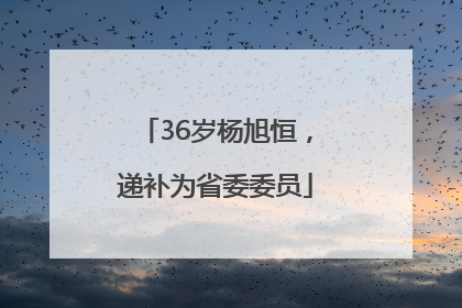 36岁杨旭恒，递补为省委委员