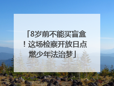8岁前不能买盲盒！这场检察开放日点燃少年法治梦