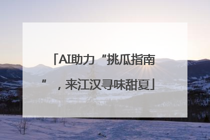 AI助力“挑瓜指南”，来江汉寻味甜夏