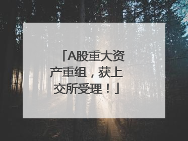 A股重大资产重组，获上交所受理！
