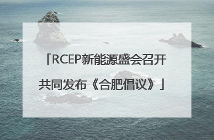 RCEP新能源盛会召开 共同发布《合肥倡议》