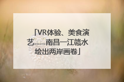VR体验、美食演艺……南昌一江赣水绘出两岸画卷